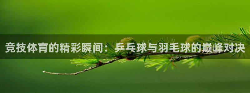 哈哈体育十年：竞技体育的精彩瞬间：乒乓球与羽毛球的巅峰对决