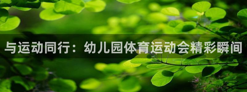 哈哈体育：与运动同行：幼儿园体育运动会精彩瞬间