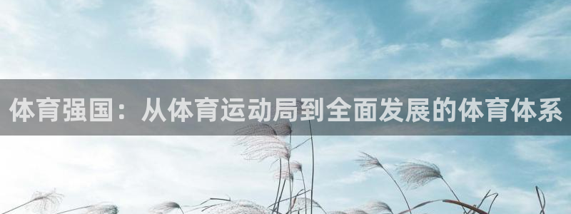 哈哈体育十年：体育强国：从体育运动局到全面发展的体育体系