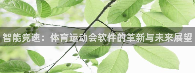 哈哈体育十年：智能竞速：体育运动会软件的革新与未来展望