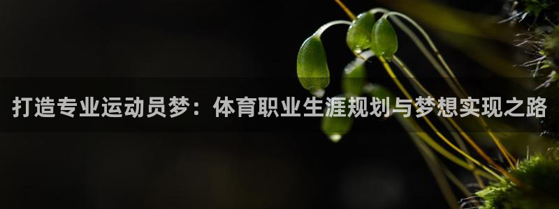 哈哈体育下载：打造专业运动员梦：体育职业生涯规划与梦想实现之路