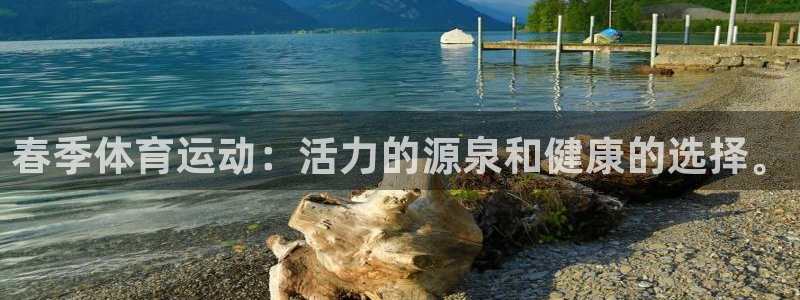 哈哈体育下载