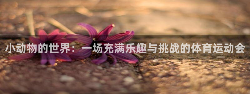 哈哈体育