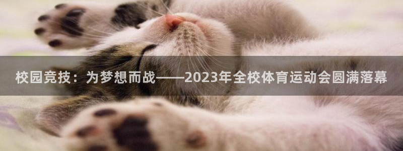 哈哈体育下载：校园竞技：为梦想而战——2023年全校体育运动会圆满落幕