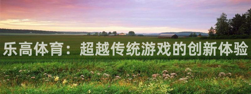 哈哈体育下载：乐高体育：超越传统游戏的创新体验
