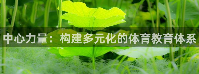哈哈体育下载：中心力量：构建多元化的体育教育体系