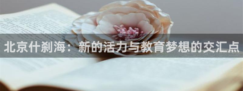 哈哈体育十年：北京什刹海：新的活力与教育梦想的交汇点